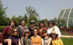 野花视频在线观看最新视频观看